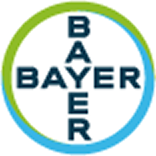 Partner 6